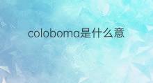 coloboma是什么意思 coloboma的翻译、读音、例句、中文解释