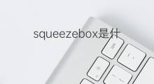 squeezebox是什么意思 squeezebox的翻译、读音、例句、中文解释