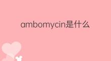 ambomycin是什么意思 ambomycin的翻译、读音、例句、中文解释