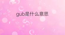 gub是什么意思 gub的翻译、读音、例句、中文解释