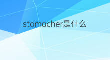 stomacher是什么意思 stomacher的翻译、读音、例句、中文解释