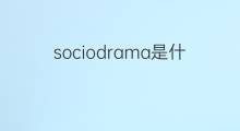 sociodrama是什么意思 sociodrama的翻译、读音、例句、中文解释