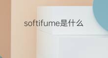 softifume是什么意思 softifume的翻译、读音、例句、中文解释