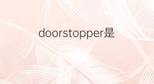doorstopper是什么意思 doorstopper的翻译、读音、例句、中文解释
