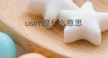 usim是什么意思 usim的翻译、读音、例句、中文解释