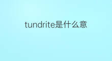 tundrite是什么意思 tundrite的翻译、读音、例句、中文解释