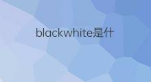 blackwhite是什么意思 blackwhite的翻译、读音、例句、中文解释
