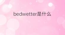 bedwetter是什么意思 bedwetter的翻译、读音、例句、中文解释