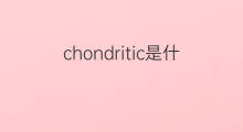 chondritic是什么意思 chondritic的翻译、读音、例句、中文解释