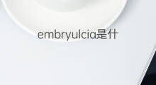 embryulcia是什么意思 embryulcia的翻译、读音、例句、中文解释