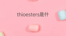 thioesters是什么意思 thioesters的翻译、读音、例句、中文解释