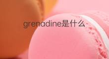 grenadine是什么意思 grenadine的翻译、读音、例句、中文解释