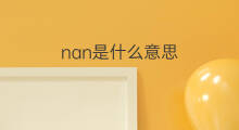 nan是什么意思 nan的翻译、读音、例句、中文解释