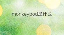 monkeypod是什么意思 monkeypod的翻译、读音、例句、中文解释