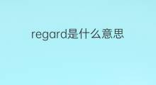 regard是什么意思 regard的翻译、读音、例句、中文解释
