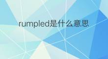 rumpled是什么意思 rumpled的翻译、读音、例句、中文解释