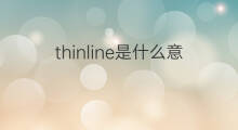 thinline是什么意思 thinline的翻译、读音、例句、中文解释