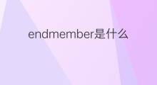endmember是什么意思 endmember的翻译、读音、例句、中文解释
