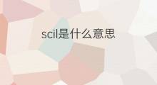 scil是什么意思 scil的翻译、读音、例句、中文解释