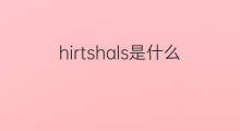 hirtshals是什么意思 hirtshals的翻译、读音、例句、中文解释