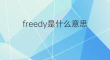 freedy是什么意思 freedy的翻译、读音、例句、中文解释