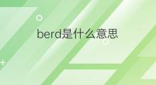 berd是什么意思 berd的翻译、读音、例句、中文解释