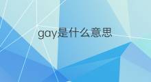 gay是什么意思 gay的翻译、读音、例句、中文解释