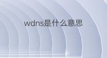wdns是什么意思 wdns的翻译、读音、例句、中文解释