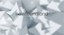 newfoundland是什么意思 newfoundland的翻译、读音、例句、中文解释
