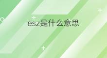 esz是什么意思 esz的翻译、读音、例句、中文解释