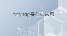 dognap是什么意思 dognap的翻译、读音、例句、中文解释