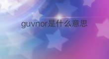 guvnor是什么意思 guvnor的翻译、读音、例句、中文解释