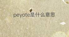 peyote是什么意思 peyote的翻译、读音、例句、中文解释