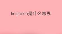 lingama是什么意思 lingama的翻译、读音、例句、中文解释