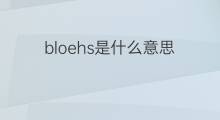 bloehs是什么意思 bloehs的翻译、读音、例句、中文解释