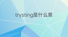 trysting是什么意思 trysting的翻译、读音、例句、中文解释