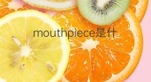 mouthpiece是什么意思 mouthpiece的翻译、读音、例句、中文解释