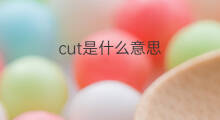 cut是什么意思 cut的翻译、读音、例句、中文解释