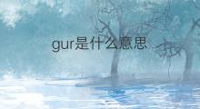 gur是什么意思 英文名gur的翻译、发音、来源