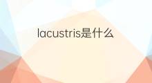 lacustris是什么意思 lacustris的翻译、读音、例句、中文解释