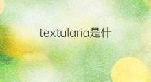 textularia是什么意思 textularia的翻译、读音、例句、中文解释