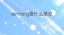 dimning是什么意思 dimning的翻译、读音、例句、中文解释