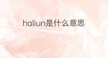 haliun是什么意思 haliun的翻译、读音、例句、中文解释