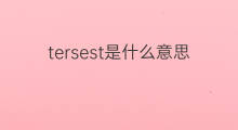 tersest是什么意思 tersest的翻译、读音、例句、中文解释