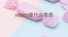 wzsm是什么意思 wzsm的翻译、读音、例句、中文解释