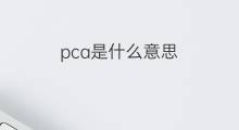 pca是什么意思 pca的翻译、读音、例句、中文解释