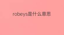 robeys是什么意思 robeys的翻译、读音、例句、中文解释