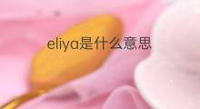 eliya是什么意思 eliya的翻译、读音、例句、中文解释
