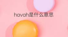 havah是什么意思 havah的翻译、读音、例句、中文解释