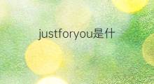 justforyou是什么意思 justforyou的翻译、读音、例句、中文解释